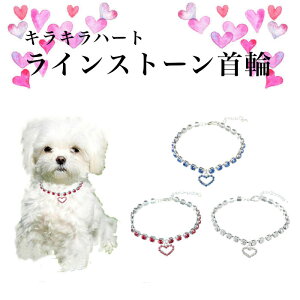 LLn[g`[ց@L@ ybgp J[ CXg[ 炫@ xgfUC p Lp Upi ۃObY o