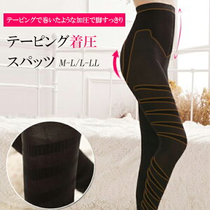 ycL-LL̂݁ze[sOXpbc    _CGbg ނ X Xpbc tBbglX T|[g XgbLO Xpbc fB[X ␳  X