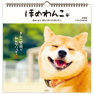 ق߂ Ǌ| OJ_[ 2026  Č R[CPzfBG 񂿂