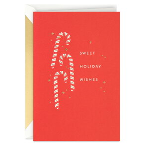 Christmas Candy Canes ANX}XJ[h Signature Studio Collection LfBP[ َq AJ