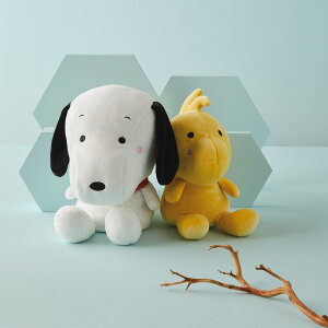 yzBetter Together yAʂ݁BIGXk[s[EbhXgbN