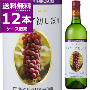 \ 2025NV 911()oח\2025  _h~ܖY fEFA ڂ 720ml×12{(1P[X)  Ì fEGA イ \E[  R {C y