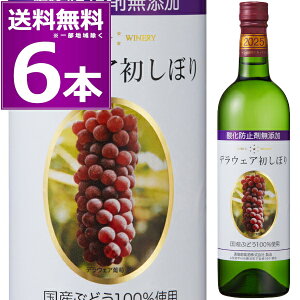 \ 2025NV 911()oח\2025  _h~ܖY fEFA ڂ 720ml×6{  Ì fEGA イ \E[  R {C yꕔn