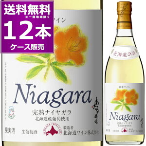 kCC  n iCK 720ml×12{(1P[X) kC̎  Ì C M M kC {Cyꕔn͏z