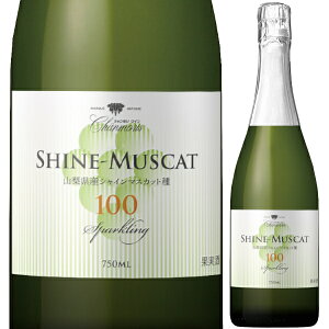 2023 cbBCi[ V VC}XJbg100 Xp[NO 750ml  Ì R {C yꕔn͏z