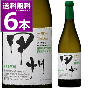 2022 cbBCi[ V k bB 750ml×6{ h C R {Cyꕔn͏z