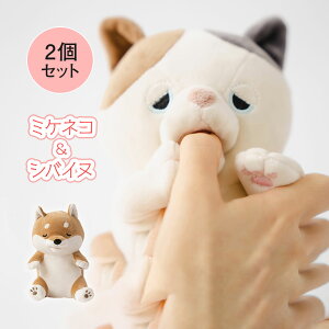 Ê݃nn VoCk~PlR 2Zbg 䂸 ~PlR R^E VoCk JCHw ʂ {bg  XgX ObY n v[g Mtg a 킢 