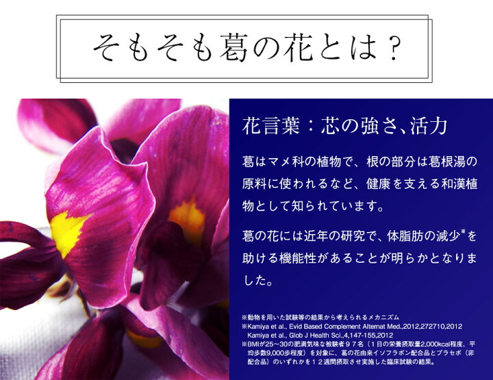 楽天市場 葛の花イソフラボンスリム 30日分1粒入 1袋 機能性表示食品 葛の花イソフラボン 葛の花サプリメント 葛の花サプリ 葛の花 ダイエット サプリメント サプリ ビタミンc ナイアシン ビタミンb6 ビタミンb2 ビタミンb1 送料無料 サプリ販売店 日本第一製薬
