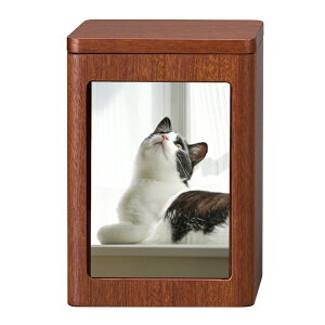 u̔ ACu ~j Tyv 茳{ ⍜̕ۊ [  