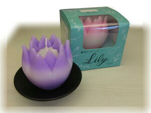 胍[\N Lilly-B-@t[Lh Lh @ nX  p[v E\N [\N ~  @ A l\  O  蕨 Mtg d {