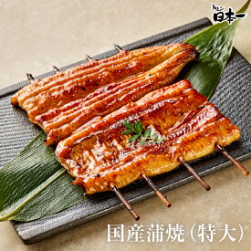 【国産】うなぎ特大蒲焼 140g/お祝い 手土産 ギフト お取り寄せ 鰻 ウナギ ひつまぶし うな重 スタミナ 贈答 贈り物 グルメ 御中元 丑の日 [kabayaki03]