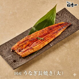 【国産】うなぎ長焼き（大120g）/お祝い 手土産 ギフト お取り寄せ 鰻 ウナギ ひつまぶし うな重 スタミナ 贈答　贈り物　グルメ　ギフト　御中元　丑の日　　[nagayaki01]