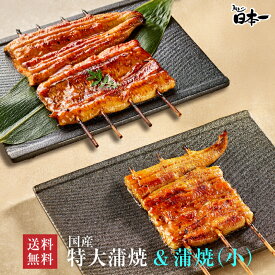 【送料無料】国産 特大蒲焼 140g+うなぎ蒲焼(小) 90gお試しセット/ タレ小袋付/お祝い お礼 内祝 お返し 手土産 ギフト 誕生日 お取り寄せ 鰻 ひつまぶし うな重 国産 贈答 贈り物 グルメ 御中元 丑の日 [otamesi04]