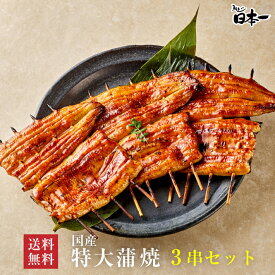 【送料無料】国産 うなぎ 特大蒲焼き 140g×3串セット/お祝い 手土産 ギフト お取り寄せ 鰻 ウナギ ひつまぶし うな重 スタミナ 贈答 贈り物 グルメ 御中元 敬老の日 [set03]