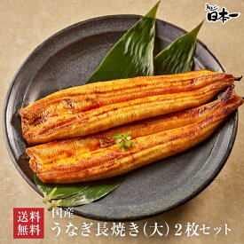 【送料無料】うなぎ長焼き大 約120g×2枚セット/タレ小袋付/お祝い お礼 内祝 お返し 手土産 ギフト 誕生日 お取り寄せ 鰻 ウナギ ひつまぶし うな重 国産 贈答 贈り物 グルメ 御中元 丑の日［set33］
