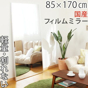 tB~[ Sg Ȃ p Ȃ 85×170cm   JK~ ~[ y ^ X^h~[ EH[~[ Ǌ| Ă Sg~[ Ch~[ 傫 ړ ȒP {