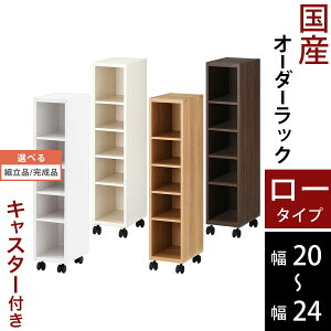 Lb`S Ԏ[ 20cm 21cm 22cm 23cm 24cm LX^[t  bN X { ؐ [^Cv zCg/zCgEbh/I[N/EH[ibg ygi/iIׂz ABE400100