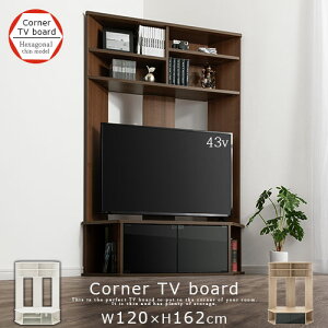 R[i[er ^ 50C` 43C` 120 KX uI ؐ EH[ibg/zCg/I[N TVB018122