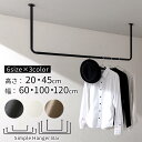 ランドリーラック 洗濯物干し アイアン物干し 洋服収納 ハンガーラック 洋服ラック 洋服掛け リビング 物干しスペース ランドリールーム 室内干し 洗濯 シンプル コ型 コの字 U型 約 幅 60/100/120 高さ 20/45 cm ブラック/ホワイト/ゴールド