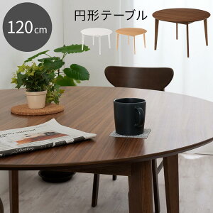 nCe[u ~` ^ ی^e[u _CjOe[u ۃe[u ll Ol lp e[u Pi ؐ ~`e[u  a120cm ~ ۊ JtFe[u 傫  fXN ~ r