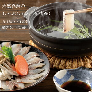 VR^₵ԂԃZbgVY 3`4lO A` ` ^C }_C A || ؂ ؂ A` p  y V̉ v[g a j j e