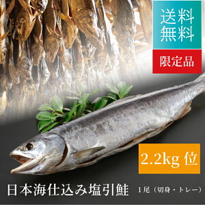  kCY {Cd  i1.7kg`2.2kgj ؐg Eg[ V {Ђ RЂ n V TP 蕨 Mtg v[g a j j ei ii Mtg N VR 