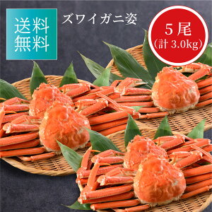 䒆   ʌ YCKjp {CⓀ 킢I  Jj I v[g a j j ei ii hV̓ o[Xf[ p[eB[  Mtg  1 2 3 5