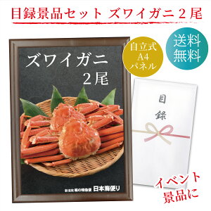 ژ^ ii ܕiɁI YCKjp 2 Mtg Zbg A4pl  St Ry  񎟉 {[O Cxg 񎟉 YN   Mtg Rp rS  Jj I 킢