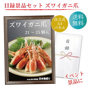 ژ^ ii ܕiɁI YCKj 21-25 Mtg Zbg A4pl  St Ry  񎟉 {[O Cxg 񎟉 YN   Mtg Rp rS  Jj I 