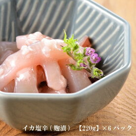 いか塩辛【麹漬】（カップ入）220g×6個セット いか イカ 塩辛 麹 郷土料理 ご自宅用 おかず 惣菜 新潟の懐かしい味