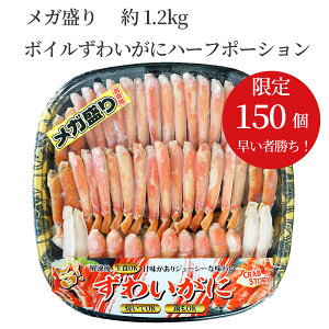  ʌ K {C킢Ƀn[t|[V {CⓀ 킢I  Jj I v[g a j j ei ii hV̓ o[Xf[ p[eB[   