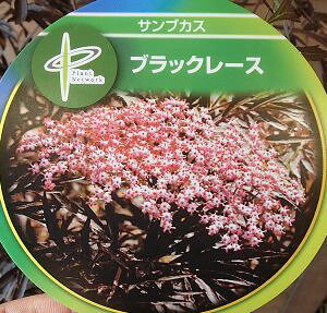 mjgR@ubN[X@PVP@TuJX@G_[t[