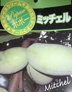 yA@ڂ؁z@||[@~b`F@sʎct