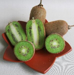 LEC@c؁@y1NzLECt[cFj[Ghijc؁@LEC@sʎct