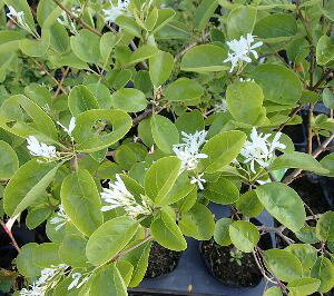 y6Azː@劔@iWW̖؁iqgco^Sj@c@c