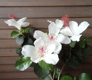 ynCrXJXzyAz@nCrXJXA[mbeBAkXinj@c@c؁@yMѐAEgsJt[EnCAt[EnCrXJXz