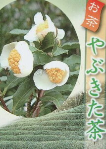 uki̖؁juL^`