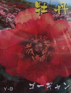 O@S[M@3N@y6Azi{^cAڂcj