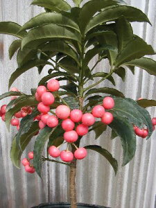 @sNp[@}E@sN@i3|bgAj@c@c