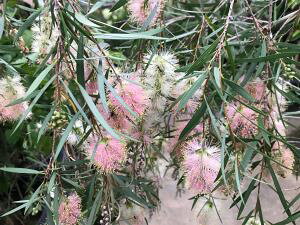 JXe@CW[@iL|EW@j@󏭁I炫IF炫I