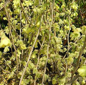 ؁iqEK~YLjc@c؁@5|bgA@݂