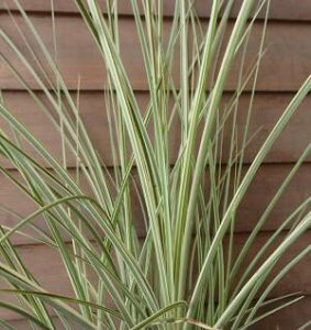 V}CgXXLi莅XXLjc@c؁@|bgA