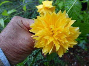 R c@ց@d炫@}uLiRj@t\C@c؁@܂Ԃ