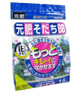 삻BB@iyɍĎg{엿 j 320g@Ԃ