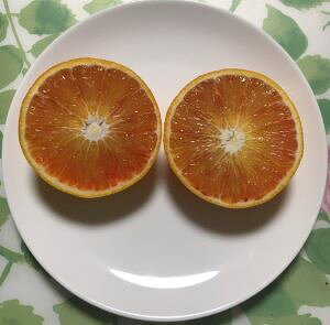 IW@c؁@ubhIWi^bRjc؁sʎctkc@c؁@ږ؁@c@݂