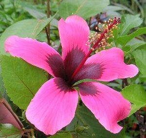 ynCrXJXzy5AztBW[Ebh@itBWAbhjtBW[ACh@@c@c؁@yMѐAEgsJt[EnCAt[EnCrXJXz