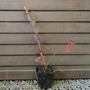 u[x[@c؁@~mEx@cirbgACnjsʎct