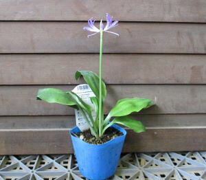 ~ju[A}XiOtBjA@Vv[j@ԃ~jA}X@|bgA@c@