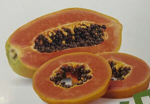 ppC @gsJb`@c@c؁@@FMщʎc