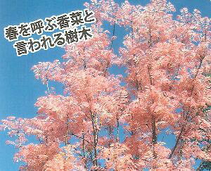 ``@t~S@3|bg